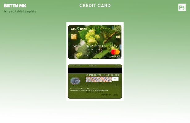 Модерен стил, шаблон за мастер картички на Романија CEC Bank